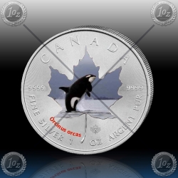 1oz KANADA $5 Maple Leaf 2014 "ORKA" BARVNI
